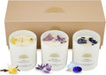 AvaConcept Healing Crystal Candle Gift Set
