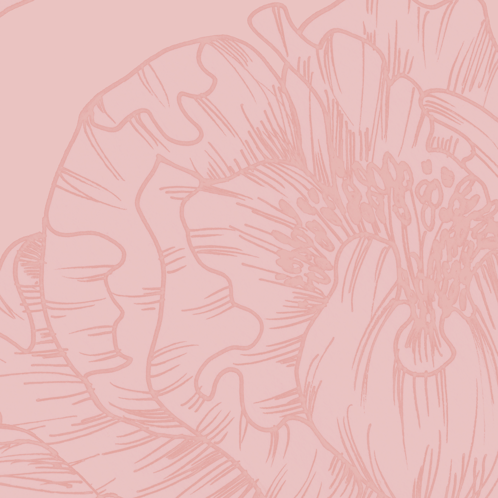 The Dutchess (Pink) Wallpaper