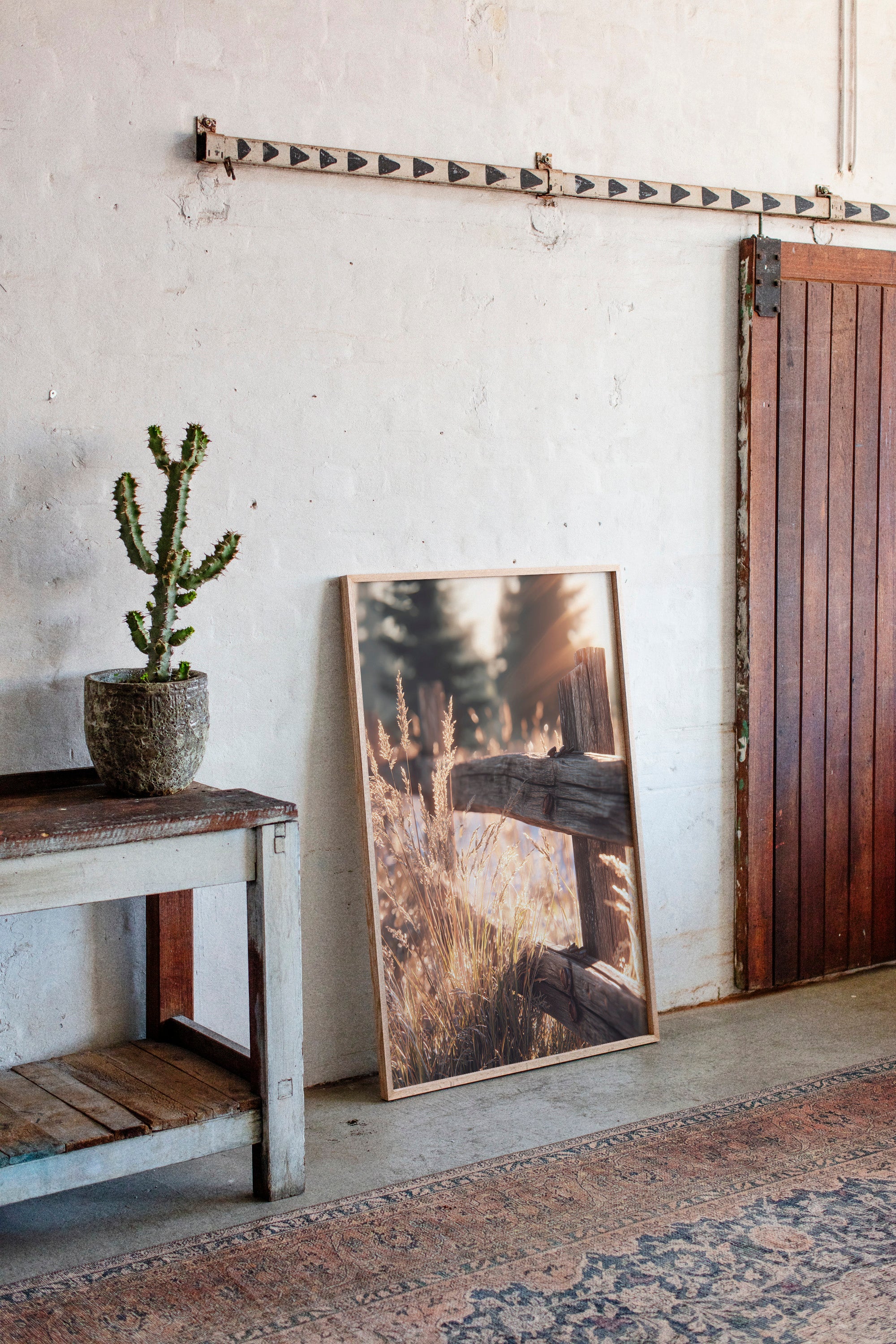 Golden Light on Weathered Wood